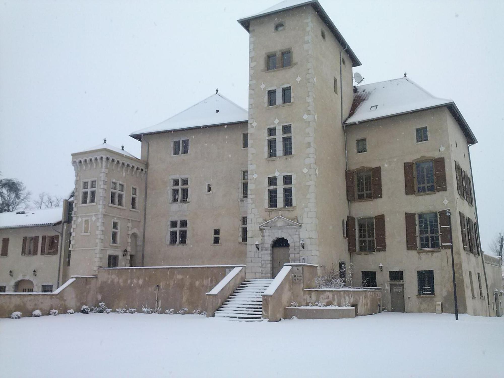 Tempologis - Chateau De La Rochette Fontaine  Εξωτερικό φωτογραφία